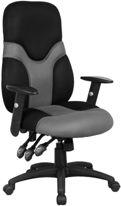 Picture of Flash Furniture BT6001 High Back Executive Chair