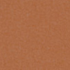 Apricot (vy-33)*
