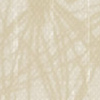 White Pine (ac-60)*