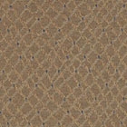 DB809 Wheat