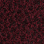 S101 Cabernet