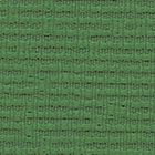WA46 Rainforest*