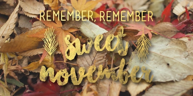 November Already!?