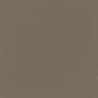 Bronze Steel