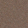 Core Seed