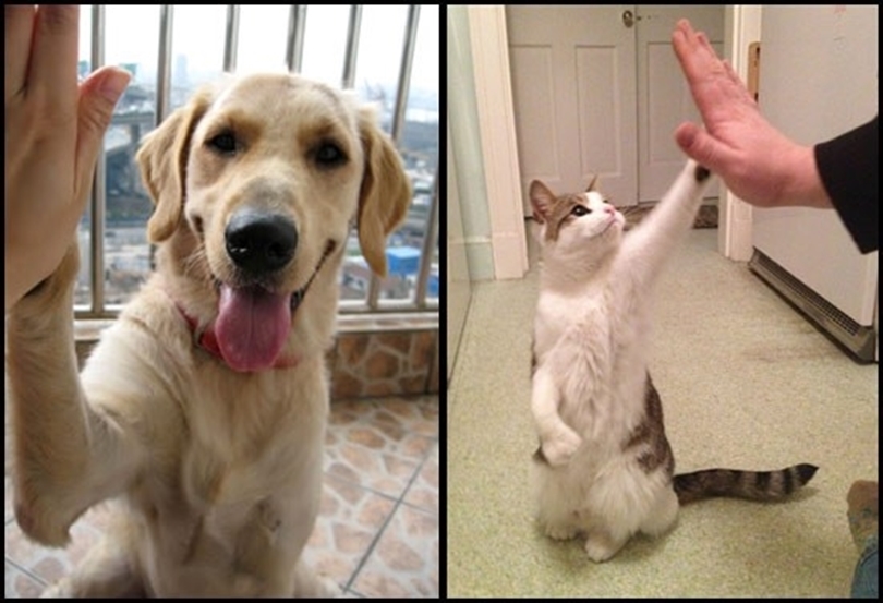 Unconditional Love