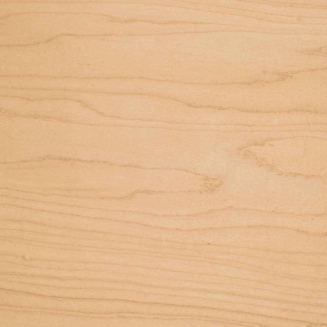 Maple (AVM)*