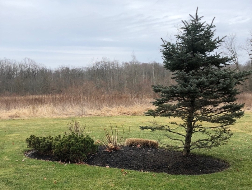Almost Spring Again