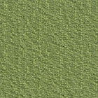 Moss (FU73)*