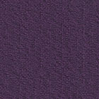 Viola (FU82)*