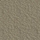 Flax (FU84)*