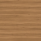 Autumn Walnut