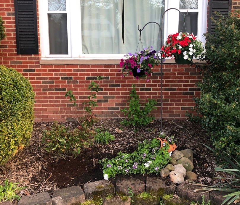Spring is Here