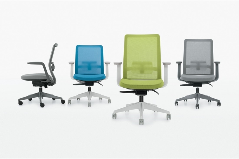 Ergonomic Office Chairs