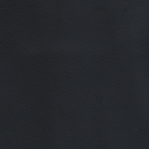 Patriot Plus Black*