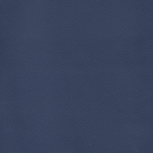 Patriot Plus Imperial Blue*