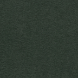 Dillon Black Polyurethane*