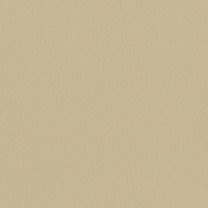 Dillon Buff Polyurethane*