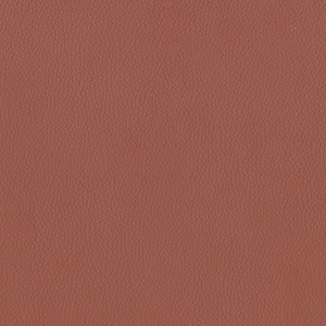 Dillon Cordovan Polyurethane*