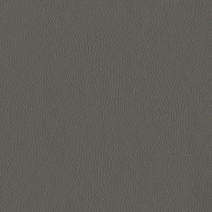 Dillon Graphite Polyurethane*