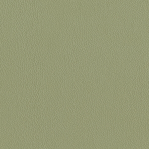 Dillon Sage Polyurethane*