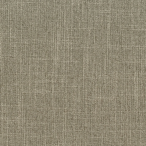 Archetype Silt Fabric*
