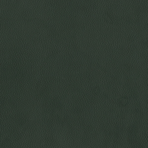 Dillon Black Polyurethane*