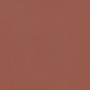 Dillon Cordovan Polyurethane*