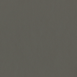 Dillon Graphite Polyurethane*