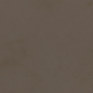 Dillon Java Polyurethane*
