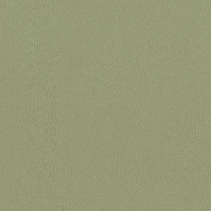 Dillon Sage Polyurethane*