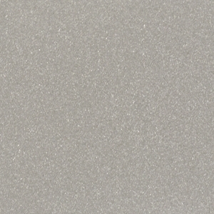 Silver*