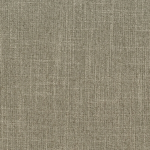 Archetype Silt Fabric*