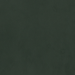 Dillon Black Polyurethane*
