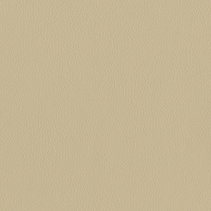 Dillon Buff Polyurethane*