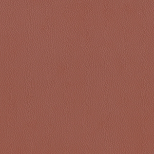 Dillon Cordovan Polyurethane*