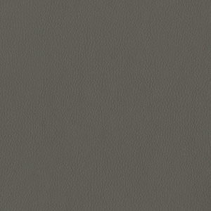Dillon Graphite Polyurethane*
