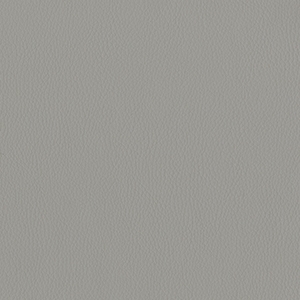 Dillon Lucid Polyurethane*