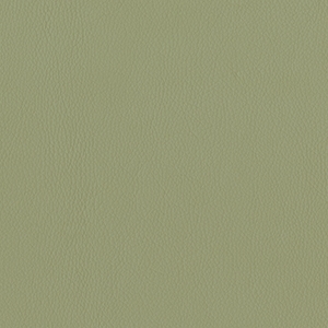 Dillon Sage Polyurethane*