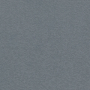 Dillon Williamsburg Polyurethane*