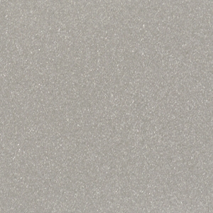 Silver*
