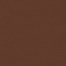Clove (NO55)*