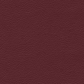 Cordovan (NO56)*