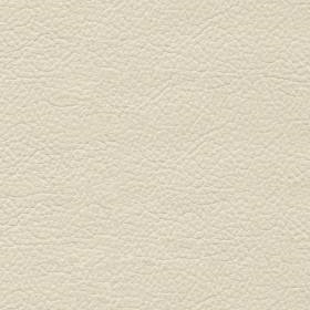Linen (NO58)*