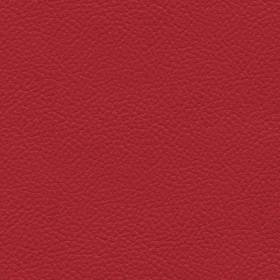 Scarlet (NO62)*