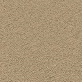 Wheat (NO64)*