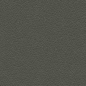 Asphalt Leather (NO51)*