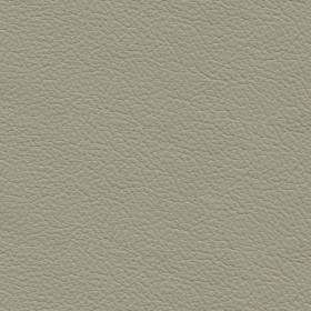 Turtle Leather (NO63)*
