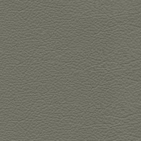 Ash Leather(NO50)*