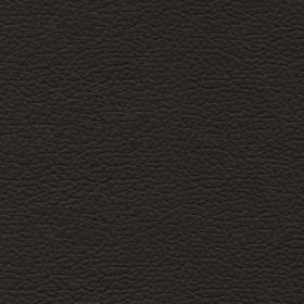 Bison Leather (NO52)*
